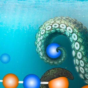 chemistry-europe_Titel_Sabrina-Groeschke_2405-2026_03